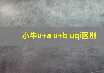 小牛u+a u+b uqi区别